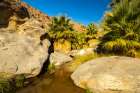 USA, California, Anza Borrego Desert State Park. Palm Oasis in desert. Art Print